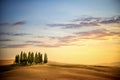 San Quirico d` Orcia, famous group of cypress trees in summer sunset light. Tuscany, Italy Royalty Free Stock Photo
